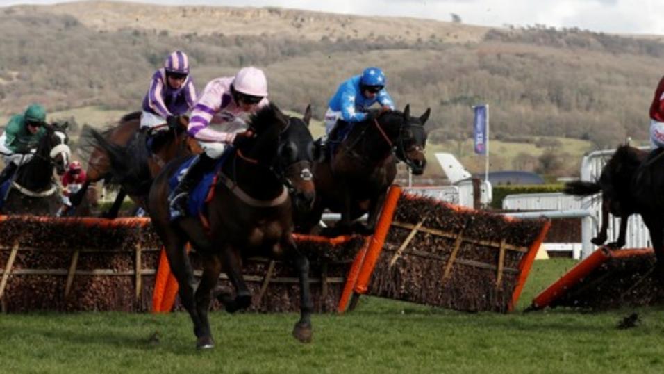 Pertemps Final Cheltenham